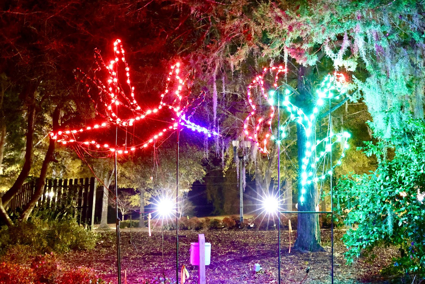 Orangeburg Christmas Lights